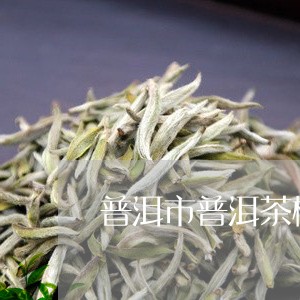 普洱市普洱茶概况/2023041296270