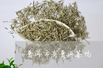 普洱市有普洱茶吗/2023041018281