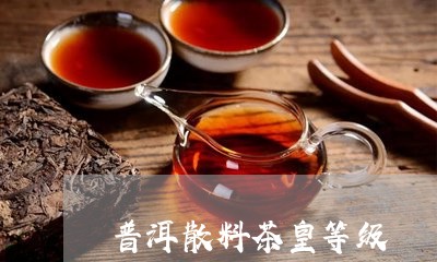 普洱散料茶皇等级/2023032922616