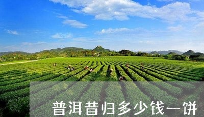 普洱昔归多少钱一饼/2023041552267