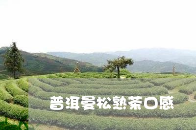 普洱曼松熟茶口感/2023032241695