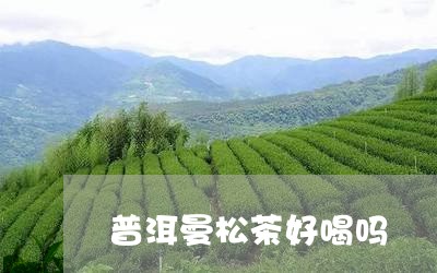 普洱曼松茶好喝吗/2023032298470