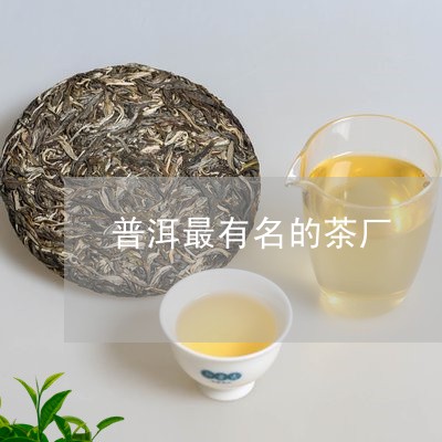 普洱最有名的茶厂/2023031871606