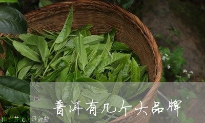 普洱有几个大品牌/2023032989638