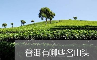 普洱有哪些名山头/2023041337503