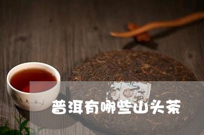 普洱有哪些山头茶/2023032993895