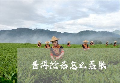 普洱沱茶怎么蒸散/2023032917372