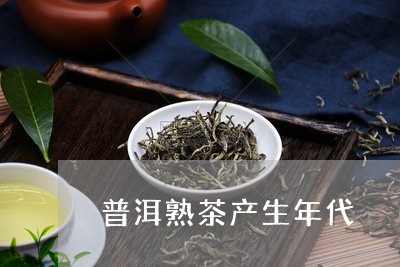 普洱熟茶产生年代/2023041463016