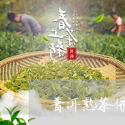 普洱熟茶保质期限/2023031823958