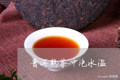 普洱熟茶冲泡水温/2023031728161