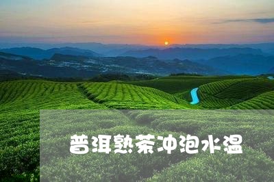 普洱熟茶冲泡水温/2023041343946