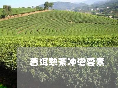 普洱熟茶冲泡要素/2023032995860