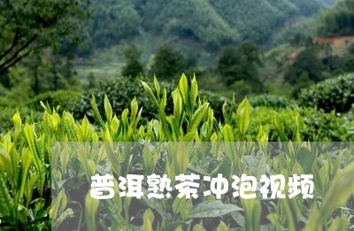 普洱熟茶冲泡视频/2023032978539