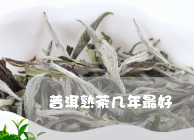 普洱熟茶几年最好/2023032946936