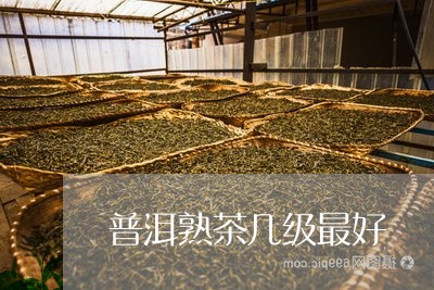 普洱熟茶几级最好/2023032992836