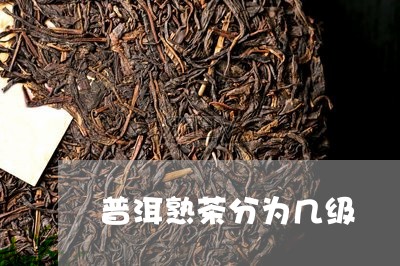 普洱熟茶分为几级/2023032939515