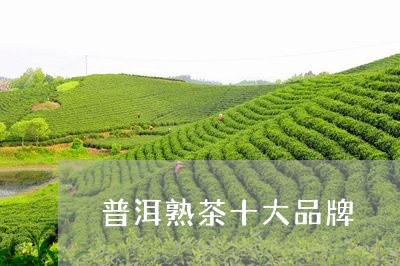 普洱熟茶十大品牌/2023032914159