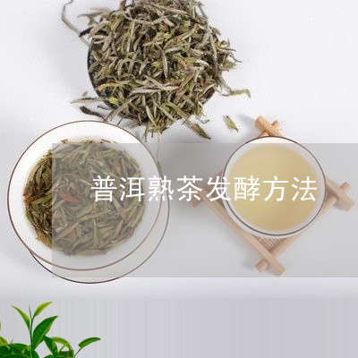 普洱熟茶发酵方法/2023032975150