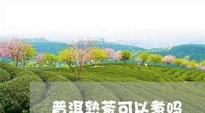 普洱熟茶可以煮吗/2023032948581