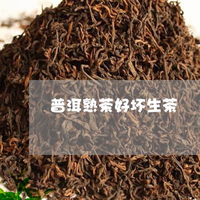 普洱熟茶好坏生茶/2023032946361