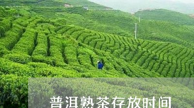 普洱熟茶存放时间/2023031861715