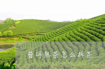 普洱熟茶怎么拆茶/2023032948269