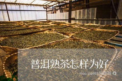 普洱熟茶怎样为好/2023032997280