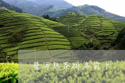 普洱熟茶排名前十/2023041386140