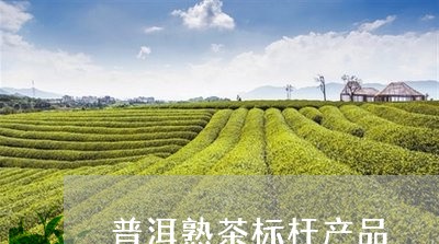 普洱熟茶标杆产品/2023032950506