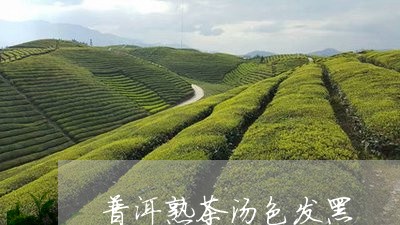 普洱熟茶汤色发黑/2023032961725