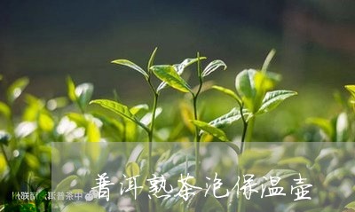 普洱熟茶泡保温壶/2023032941524