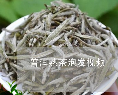 普洱熟茶泡发视频/2023032994258