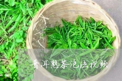 普洱熟茶泡法视频/2023032982625