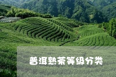 普洱熟茶等级分类/2023032939271