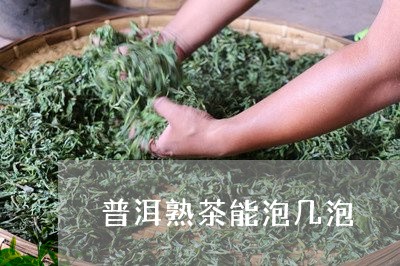 普洱熟茶能泡几泡/2023041307262