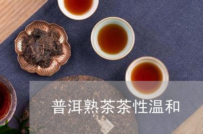 普洱熟茶茶性温和/2023032983726