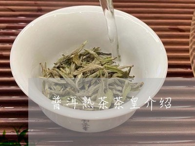 普洱熟茶茶皇介绍/2023031896071