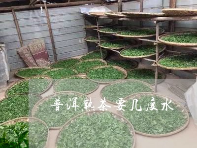 普洱熟茶要几度水/2023032969581