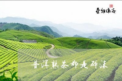 普洱熟茶都是碎沫/2023032963815