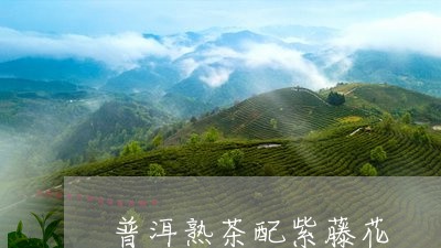 普洱熟茶配紫藤花/2023032969393