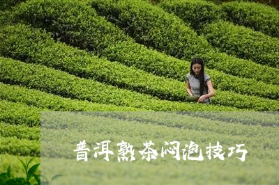 普洱熟茶闷泡技巧/2023032992868