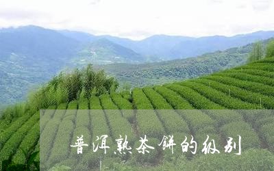 普洱熟茶饼的级别/2023032989616