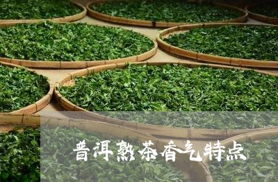 普洱熟茶香气特点/2023041458281