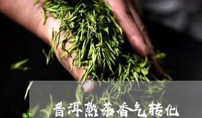 普洱熟茶香气转化/2023031838351