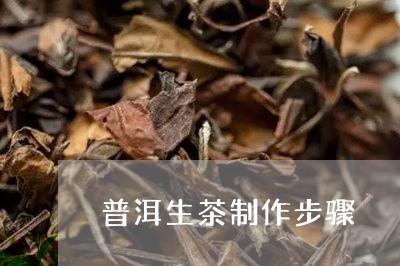 普洱生茶制作步骤/2023041380606