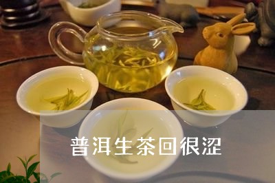 普洱生茶回很涩/2023032900624