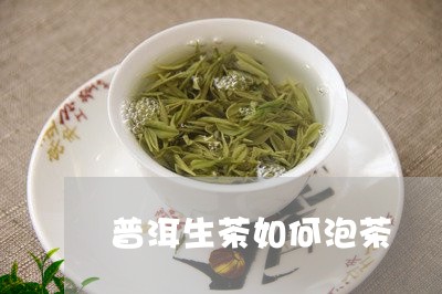 普洱生茶如何泡茶/2023031816273