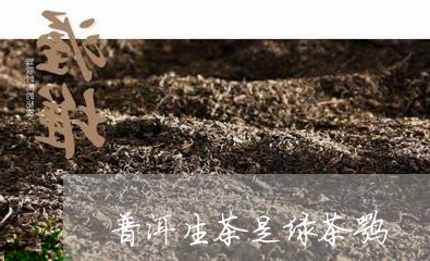 普洱生茶是绿茶嘛/2023041446159