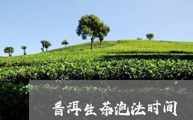 普洱生茶泡法时间/2023032917460