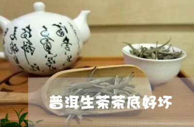 普洱生茶茶底好坏/2023031873818